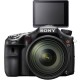 Sony SLT-A77 DSLR Digital Camera with 16-50mm f/2.8 DT Lens Kit